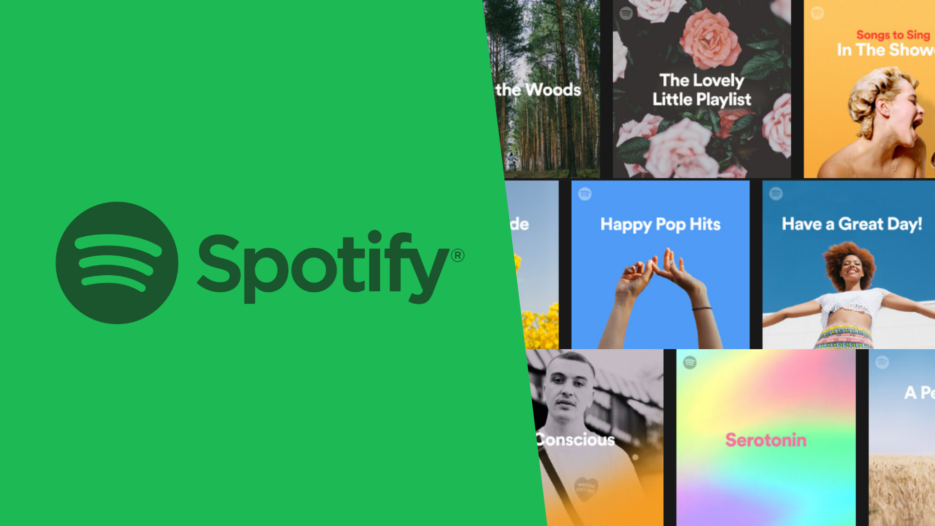 buy Spotify followers